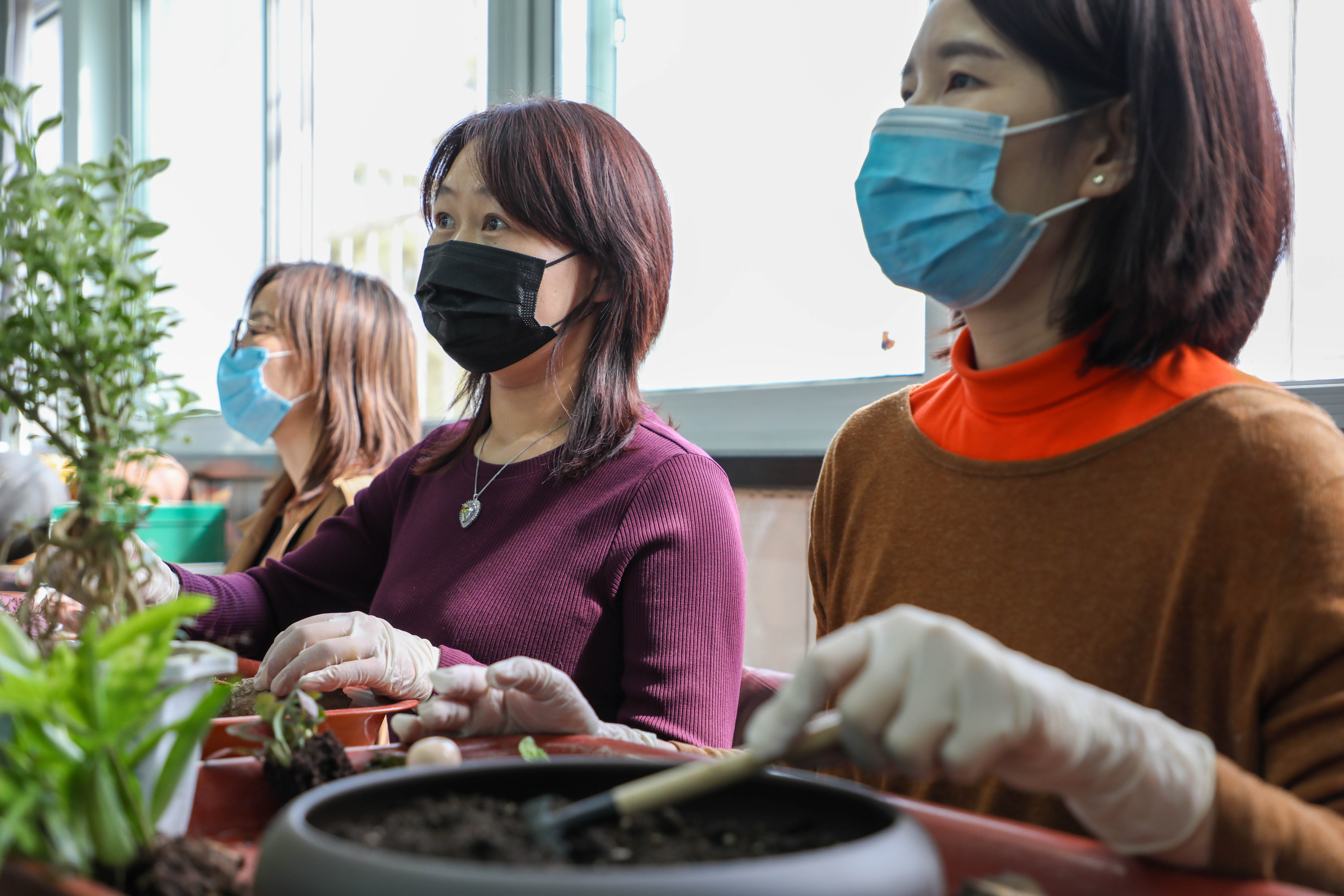 jk黑色丝袜美女被网站