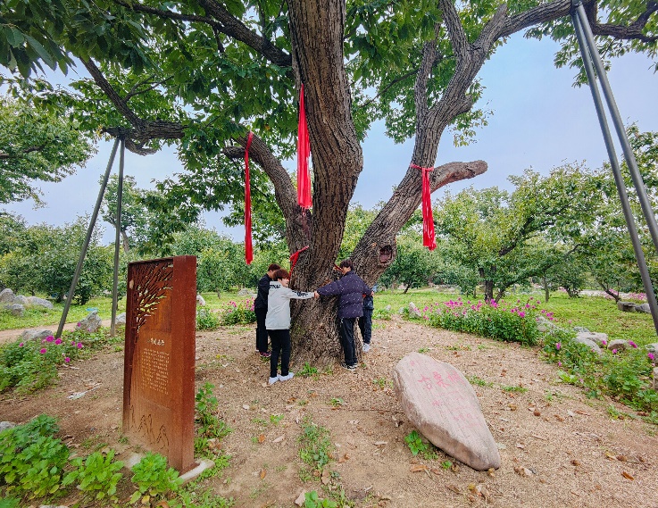 jk黑色丝袜美女被网站