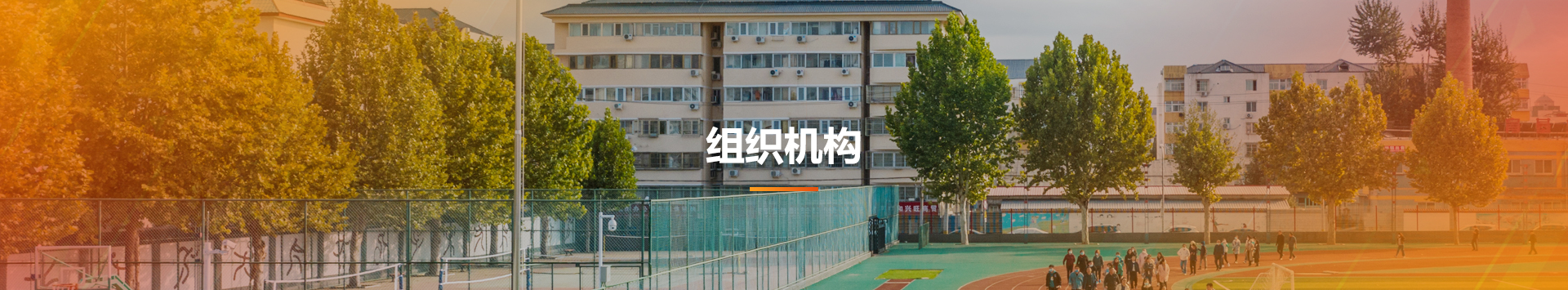 jk黑色丝袜美女被网站