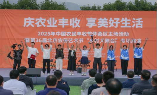 jk黑色丝袜美女被网站